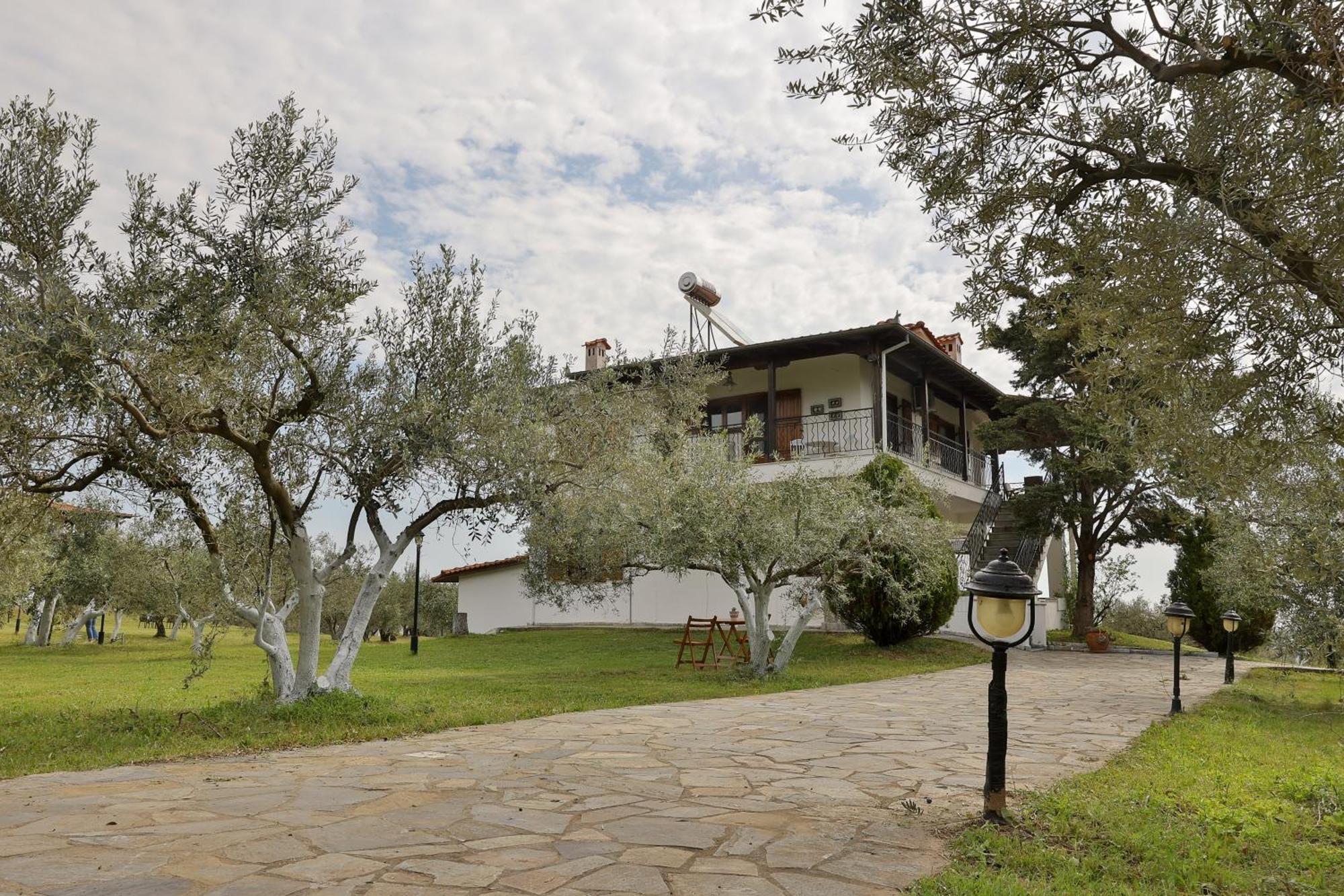 Zeusplace Olympus Olive 4 Holiday home Leptokarya (Pieria)